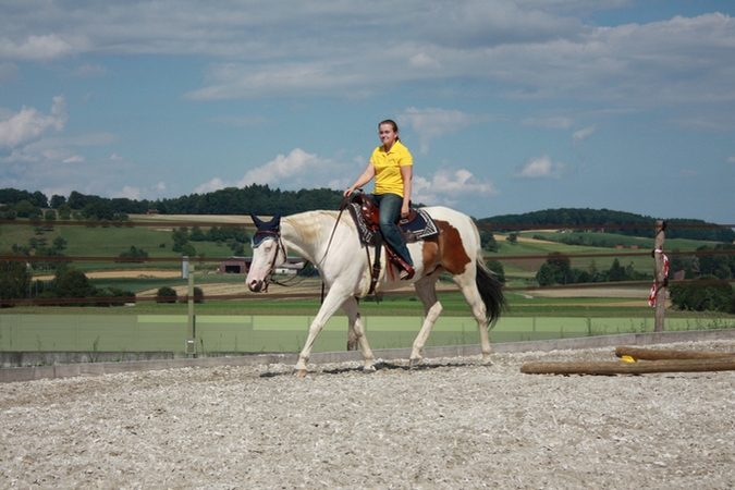 Westernsattel Flexibler Baum